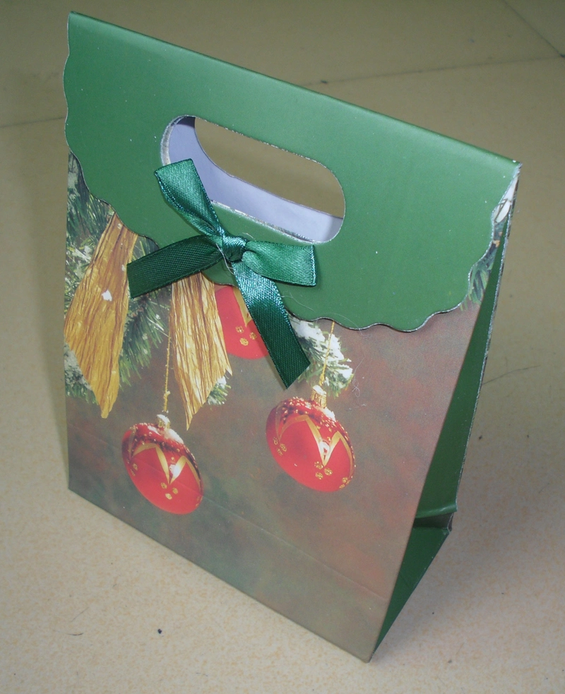 Paper Gift Bag with Die-Cut Handle