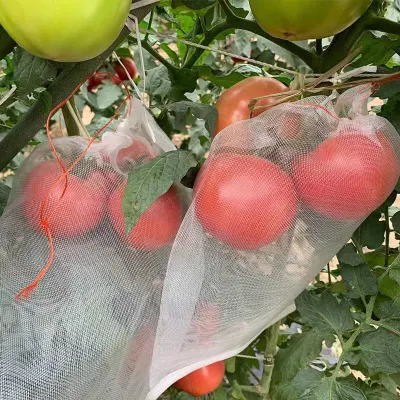 Sacs de protection des fruits, sacs de fruits pour arbres fruitiers, sacs en filet avec cordon de serrage, sacs d'arbres fruitiers pour protéger les fruits et légumes, MOQ : 100