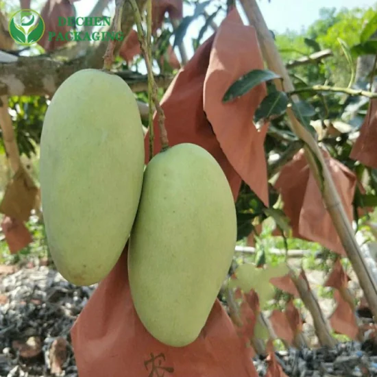 Sac d'emballage de Protection pour la culture des fruits, avec sacs de couverture imperméables à Double couche pour mangue