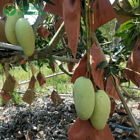 Sacs de Protection imperméables pour fruits, housse d'épaule en papier de mangue